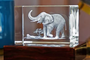 3D Crystal Animal Pictures
